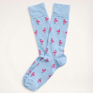 flamingo dress socks